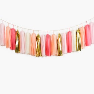 ASSEMBLED Blush Coral Tassel Garland, Peach Pink Coral Party, Wedding Backdrop, Birthday Party Banner, Coral Baby Shower, Baby Girl Nursery