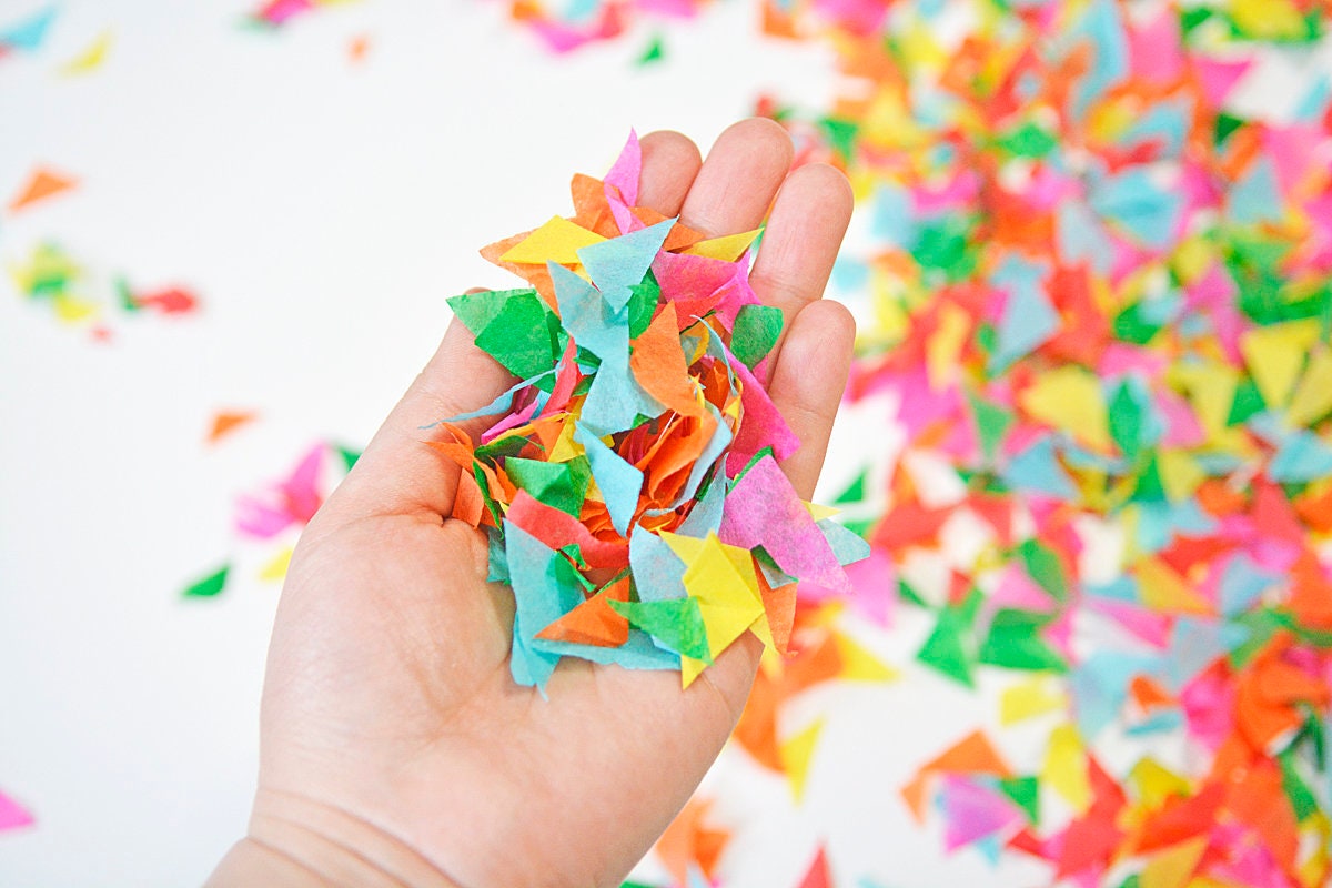 Taco Bout a Party Confetti Biodegradable Confetti Llama Confetti Fiesta Confetti Cactus Party Confetti Party Confetti Paper