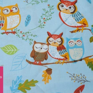 FOREST FELLOWS Owls hellblau by Robert Kaufman Bild 3