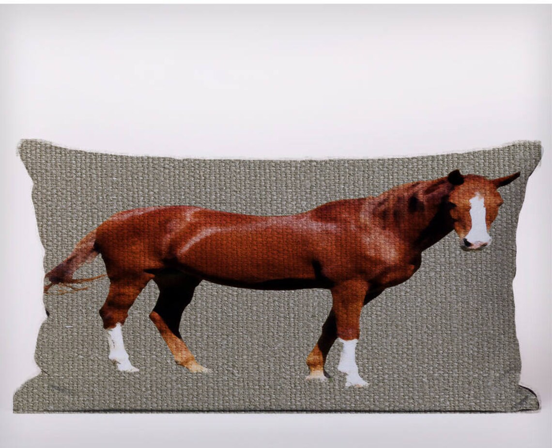 Horse Cushion Cover Case or Stuffed With Insert Etsy