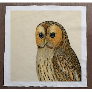 May include: A close-up of a brown and white owl with blue eyes. The owl is looking directly at the viewer. The background is a light beige.