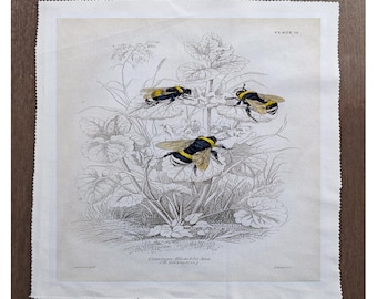 Bees vintageillustration - kan anpassas personligen - sömnad, kudde, klädsel, hantverk, lapptäcke och quiltning tygpanel