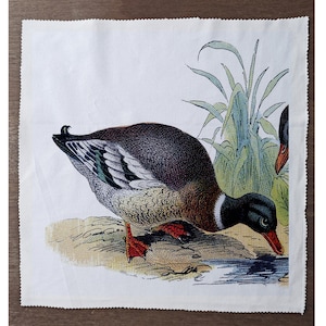 May include: A white square fabric with a detailed illustration of a duck drinking water. The duck has brown, black, and green feathers, a black head, and a red beak and feet. Green reeds are in the background.