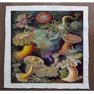 May include: A vintage illustration of colorful sea anemones in a variety of shapes and sizes. The anemones are depicted in a vibrant underwater scene with a dark blue background.