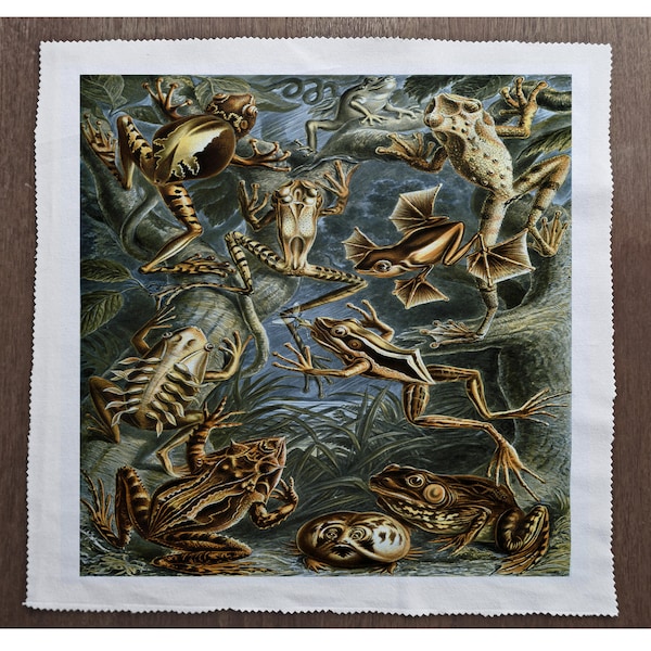 Frog vintage Animal - - Couture, Coussin, Tapisserie, Artisanat, Patchwork et Tissu Quilting Panneau 100% coton