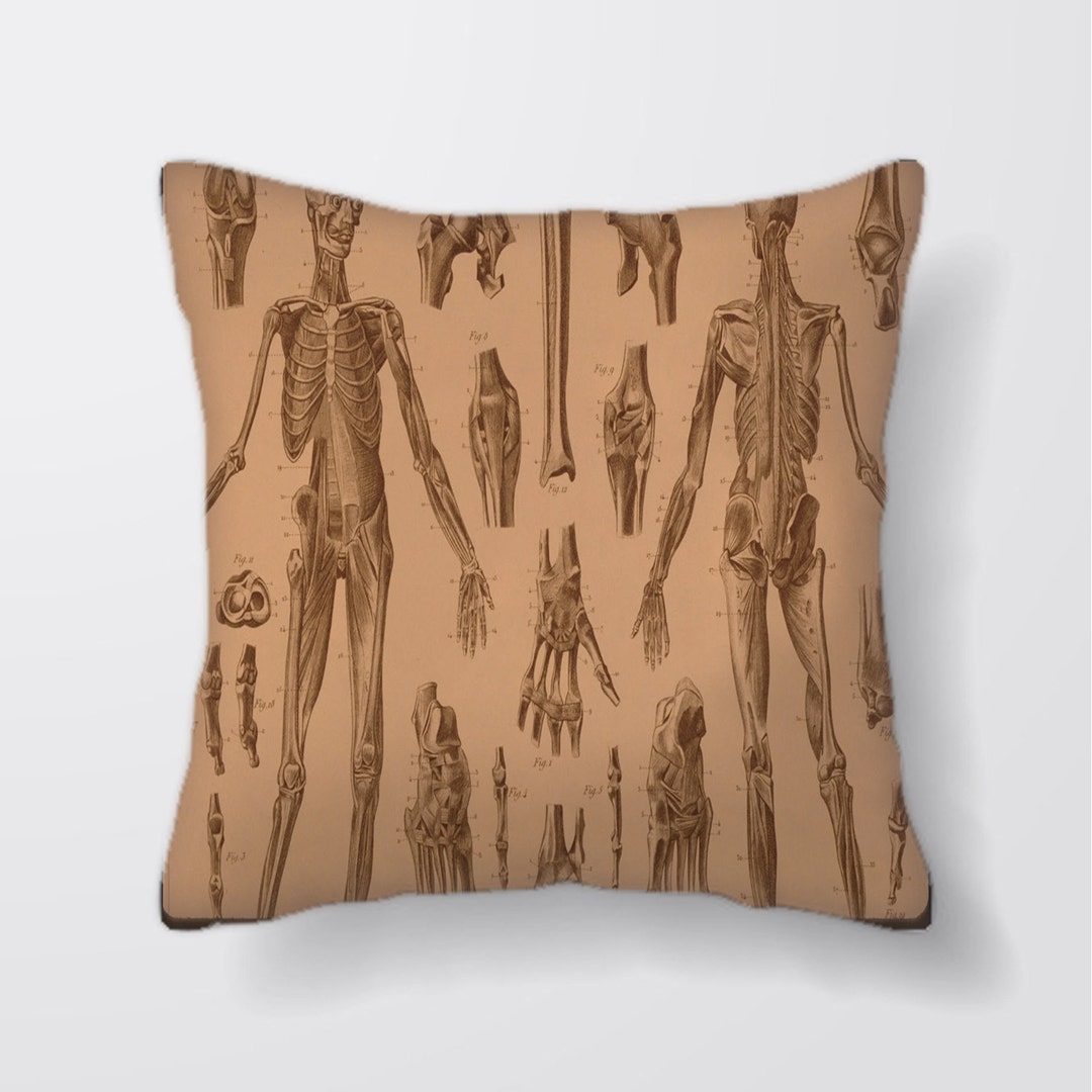 Vintage Anatomy Skeleton Bones cushion Cover Case or Stuffed With