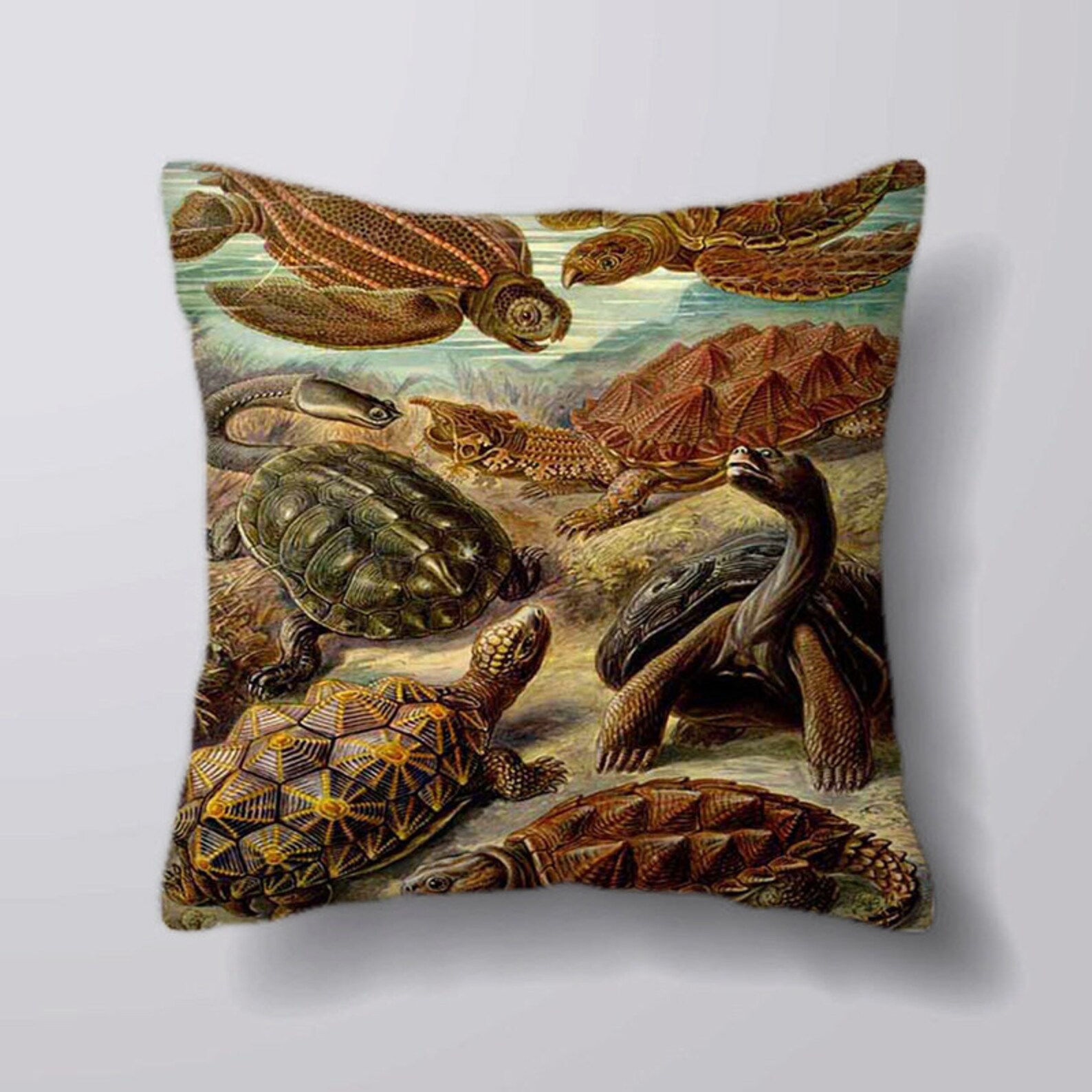 Tortoise Cushion main image 0