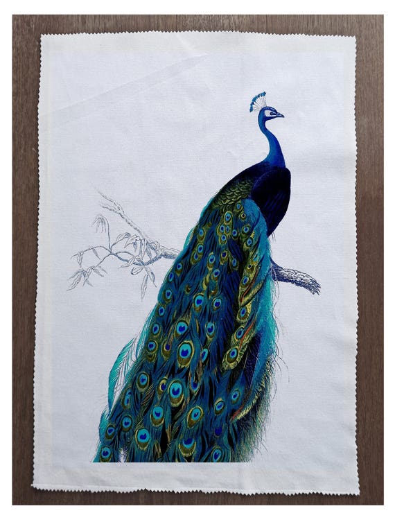 fabric panel - peacock - illustration (1). For sewing, patchwork, quilting.  Fabric panels, quilt panels, floral panel, peacock fabric, bird