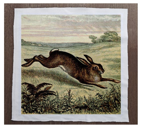 Printed Fabric Panel Make A Cushion Upholstery Craft Vintage Hare