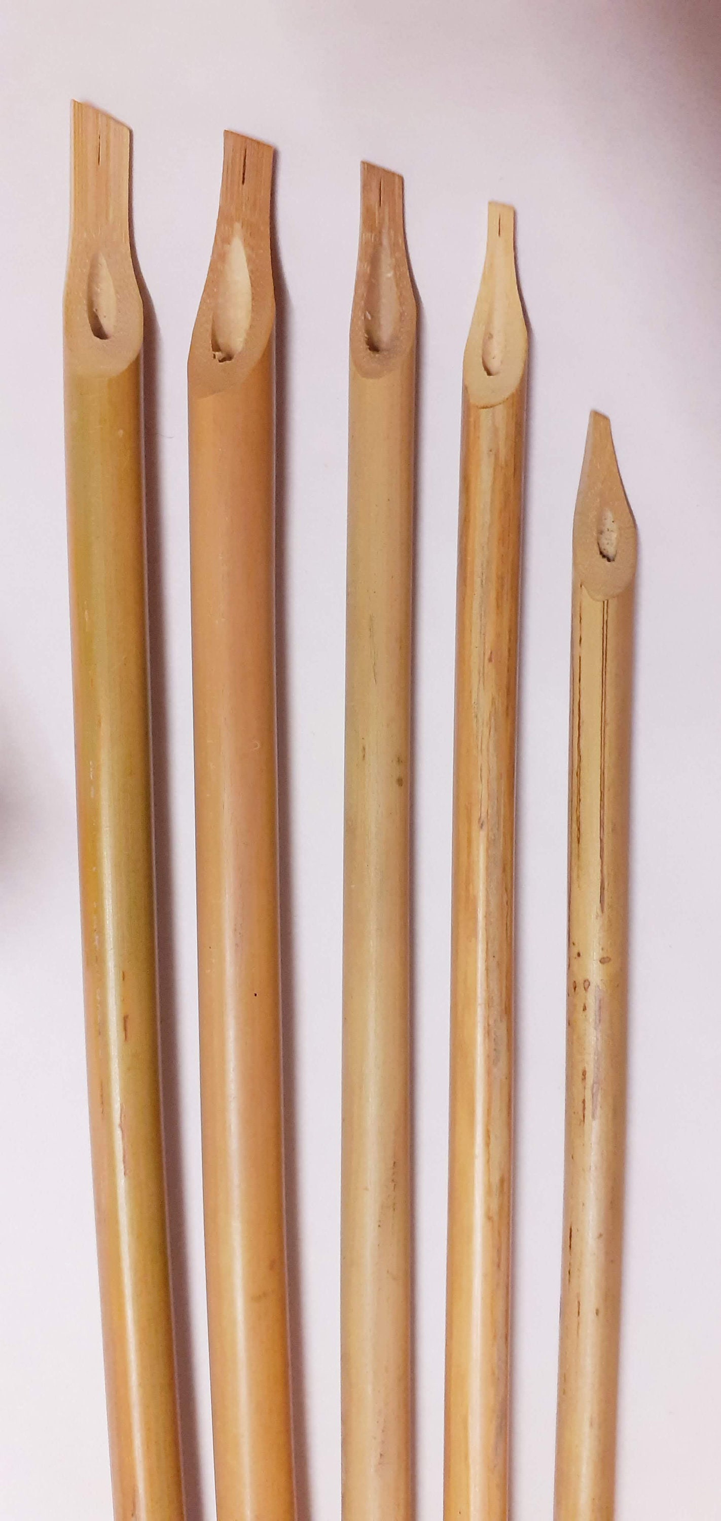 X5 Bamboo Reed Pens and Black Ink 15 Ml for Calligraphy Etsy Canada