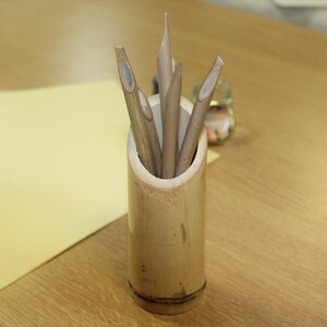 May include: A bamboo pen holder with five natural bamboo dip pens inside. The holder is made of light brown bamboo with a natural finish. The pens are all different lengths and have a pointed tip.