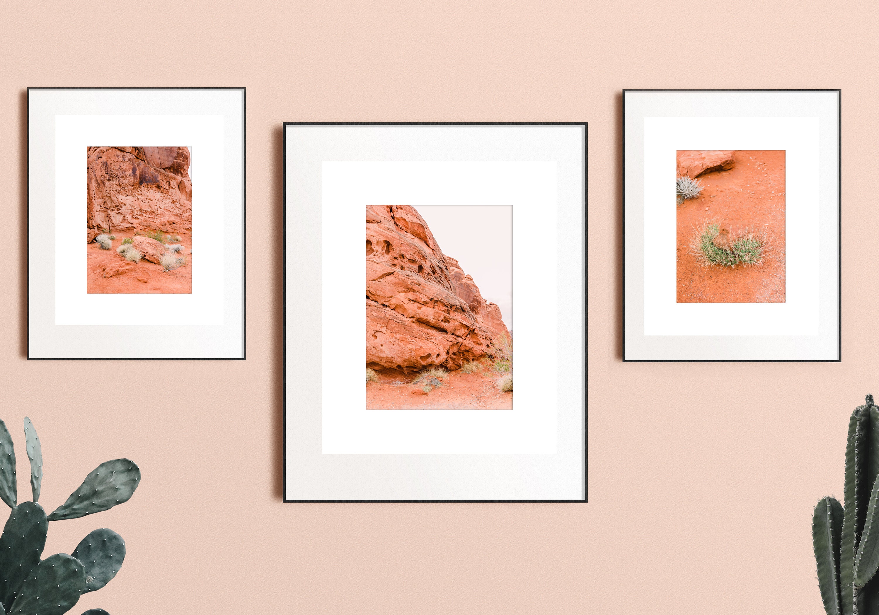 Digital Print Red Sand Cactus Wall Art Boho Wall Decor Home Decor Desert Art Valley Of Fire Red Rock
