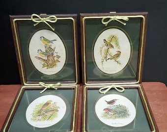 Vintage Tom Banks Bird Prints Set of 4