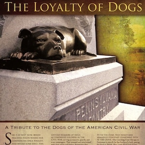 May include: A bronze statue of a dog lying down on a stone pedestal. The statue is a tribute to the dogs of the American Civil War. The inscription on the pedestal reads "Pennsylvania Infantry".