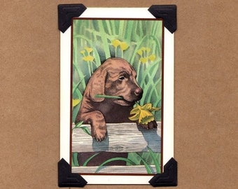 SIX (6) Chocolate Lab Puppy Greeting Cards - Birthday/Blank Note Set-Vintage Playing Cards-includes gallery of greetings to choose from!