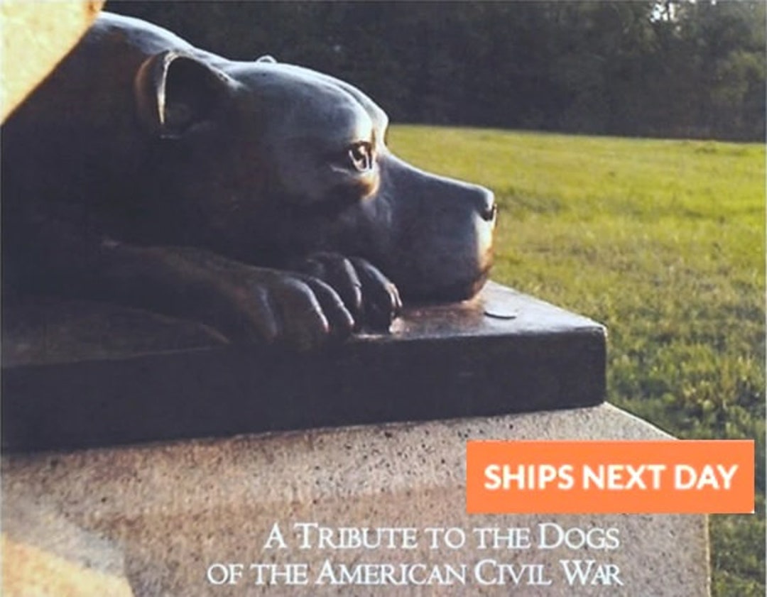 Gettysburg Civil War Dog Print Set With Tribute