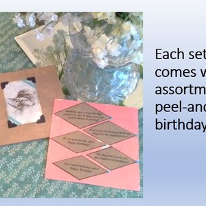 May include: A set of peel-and-stick birthday greeting cards with a pink background and brown diamond-shaped frames. The cards are in a brown envelope. The text on the cards reads: "Birthday wishes from the dog who just loves to get in the car and go places on driving days! Happy Birthday!"  "We're here for the cake! Happy Birthday!"  "I could smell your birthday cake from a mile away! Happy Birthday!"  "Heard you're having a birthday! Hope it's the happiest one yet!"  "My dog was with you the day you were born! Happy Birthday!"