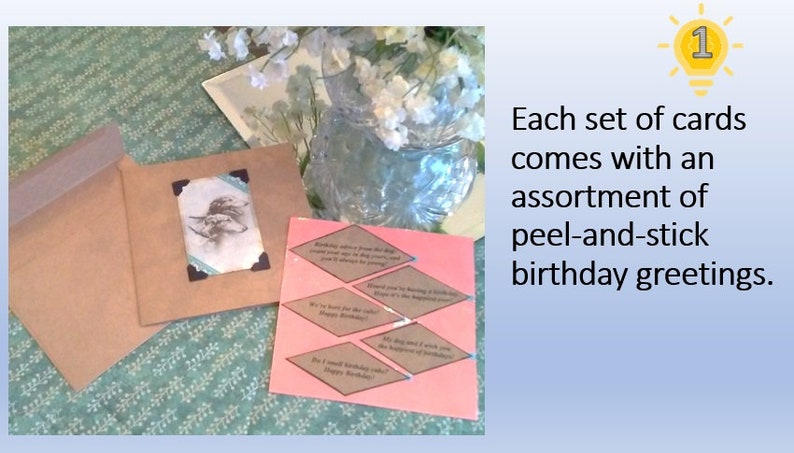 May include: A set of peel-and-stick birthday greeting cards with a pink background and brown diamond-shaped frames. The cards are in a brown envelope. The text on the cards reads: "Birthday wishes from the dog who just loves to get in the car and go places on driving days! Happy Birthday!"  "We're here for the cake! Happy Birthday!"  "I could smell your birthday cake from a mile away! Happy Birthday!"  "Heard you're having a birthday! Hope it's the happiest one yet!"  "My dog was with you the day you were born! Happy Birthday!"