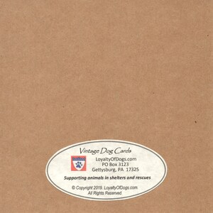 May include: Vintage Dog Cards logo with a paw print and the text "LoyaltyOfDogs.com", "PO Box 3123", "Gettysburg, PA 17325", "Supporting animals in shelters and rescues", "&copy; Copyright 2019. LoyaltyOfDogs.com.", "All Rights Reserved."