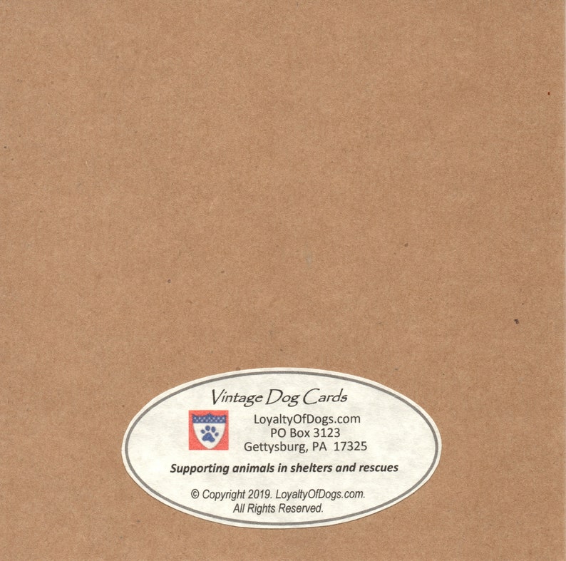 May include: Vintage Dog Cards logo with a paw print and the text "LoyaltyOfDogs.com", "PO Box 3123", "Gettysburg, PA 17325", "Supporting animals in shelters and rescues", "&copy; Copyright 2019. LoyaltyOfDogs.com.", "All Rights Reserved."