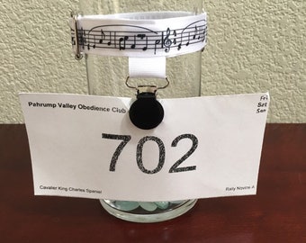 Armband Number Holder