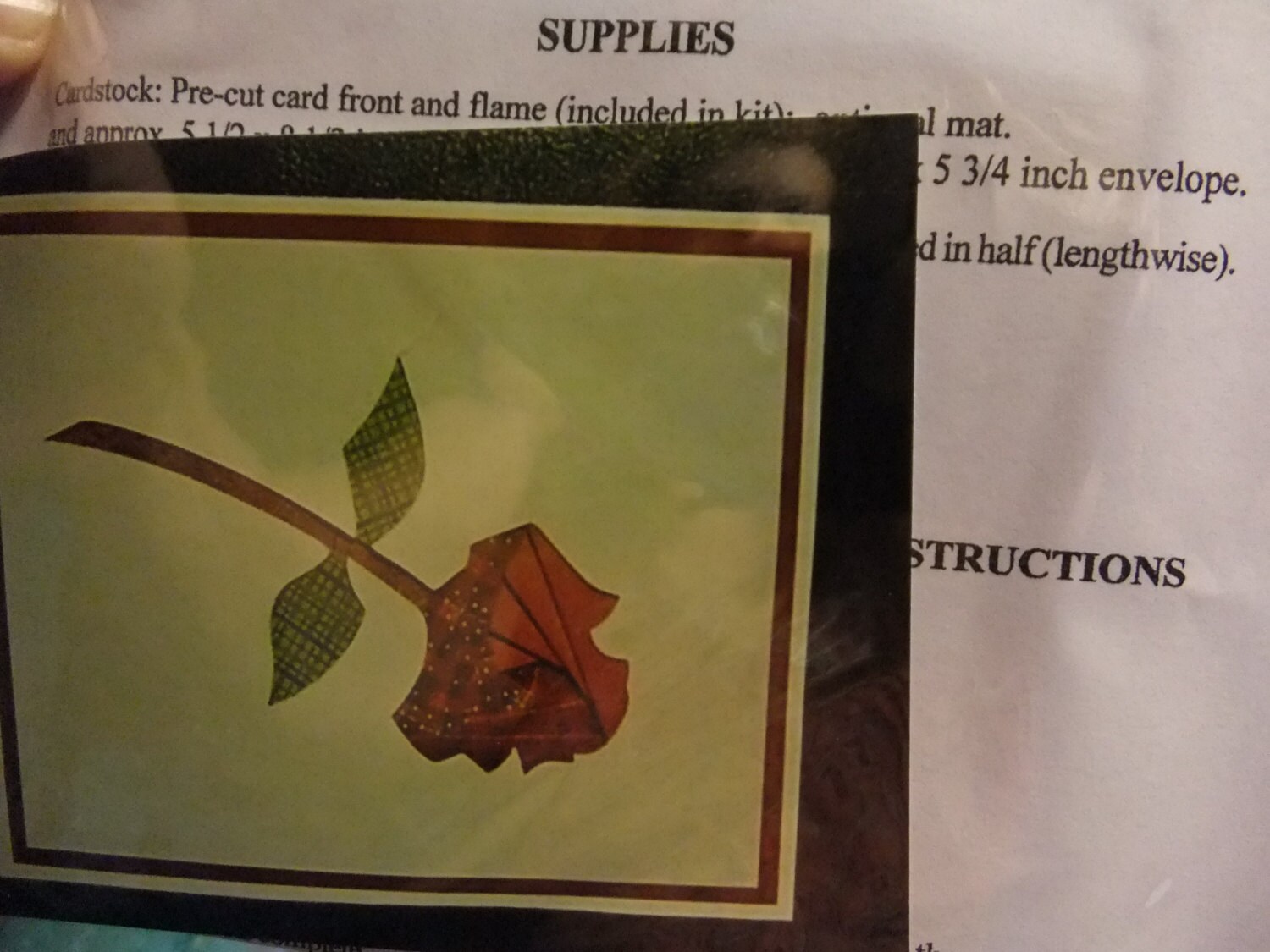 Iris Folding Kit - Rose - Pattern, Card Fronts (6) and Color Photograph ...