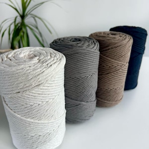 Puede incluir: Cuatro bobinas de hilo de macramé en fila, cada una de un color diferente: blanco roto, gris, marrón y azul marino. Los cordones están bien enrollados, mostrando la textura del material. Una planta verde es visible en el fondo.