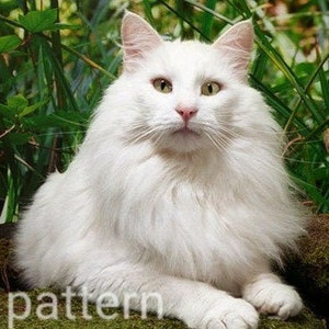 White norwegian forest cat cross stitch pattern, white cat pattern, NFC cross stitch, counted cross stitch, pdf pattern, modern cross stitch