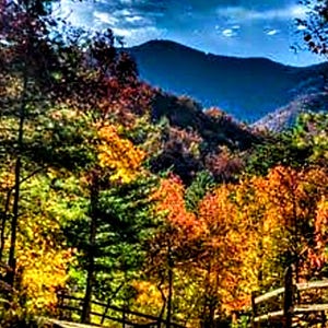 Forest mountain trail, UPDATED!, counted cross stitch, pattern keeper, forest cross stitch, fall pattern, Autumn cross stitch