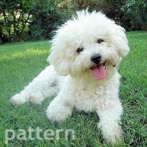 Bichon frise cross stitch pattern, dog cross stitch pattern, cross stitch pattern, pattern keeper, counted cross stitch, PDF pattern