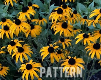 Black eyed susans cross stitch pattern, flower pattern, nature cross stitch, pattern keeper, counted cross stitch, pdf pattern