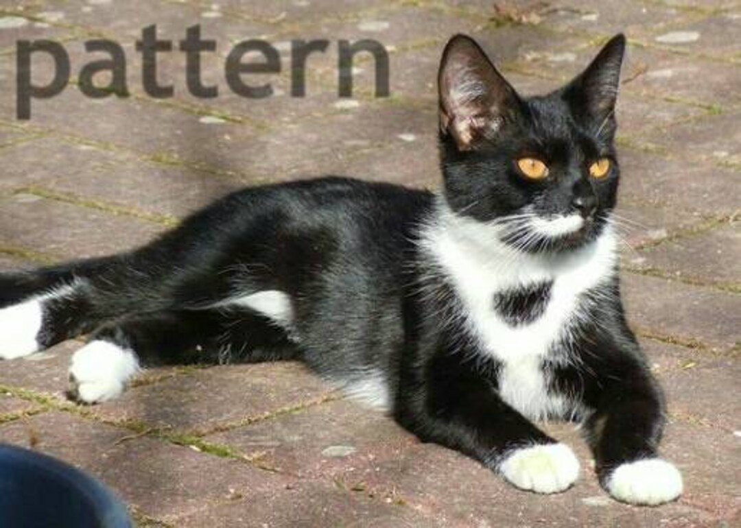 Tuxedo Cat Cross Stitch Pattern, Cross Stitch Pattern, Cat Cross Stitch