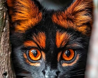 Kattenpatroon schildpad, schildpadpatroon, patroonhouder, getelde kruissteek, kattenpatroon, pdf, instant download, zwarte en oranje kat