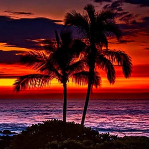 Beach Island sunset cross stitch, UPDATED!, pattern keeper, beach cross stitch, counted cross stitch, palm trees, tropical sunset