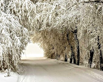 Winter walk pattern, counted cross stitch, pattern keeper, winter pattern, winter landscape, snowy trees, PDF
