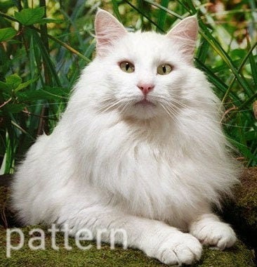 Cross stitch kit - Forest cat - Coricamo