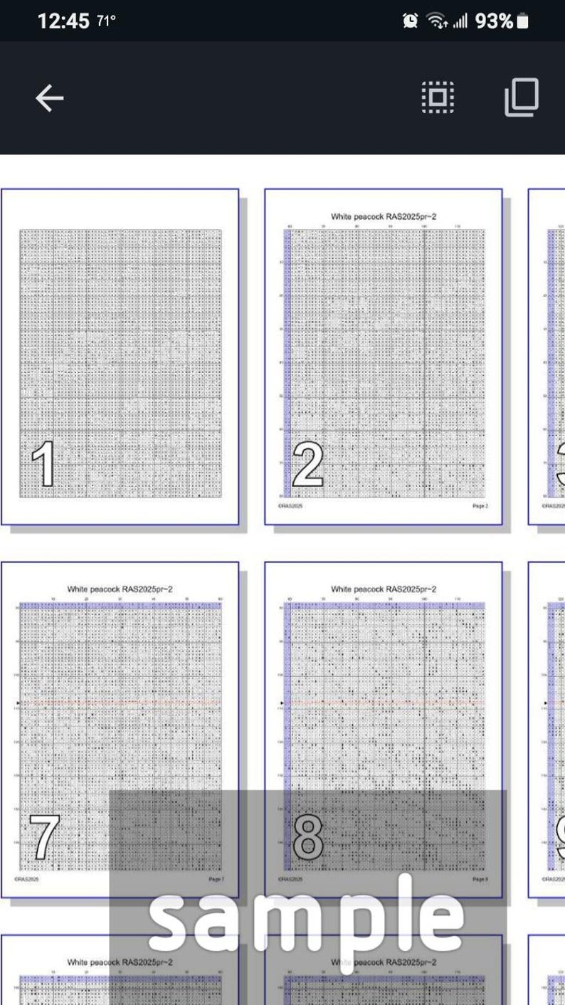 Venice cross stitch, pattern keeper, Italy cross stitch, Venice pattern, counted cross stitch, PDF, large patten image 8