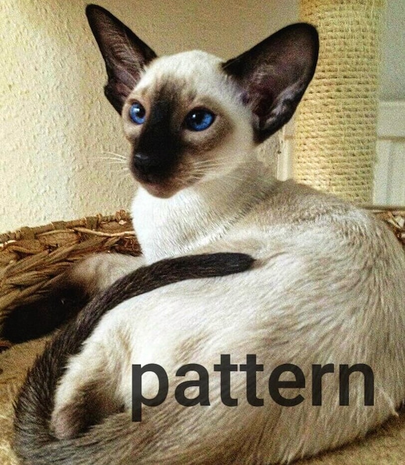 Full Grown Cream Point Siamese Flame Point Siamese Cat #3 Beach Towel