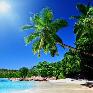 Tropical beach1 cross stitch, UPDATED!, pattern keeper, pdf pattern, palm trees cross stitch, vacation pattern, counted cross stitch