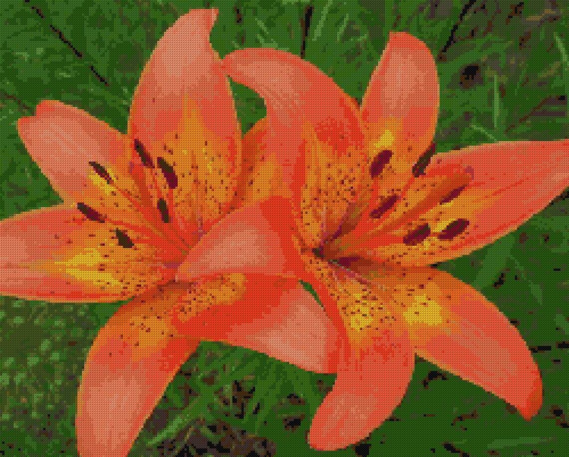 Tiger Lily Cross Stitch Pattern Cross Stitch Pattern Flower Etsy