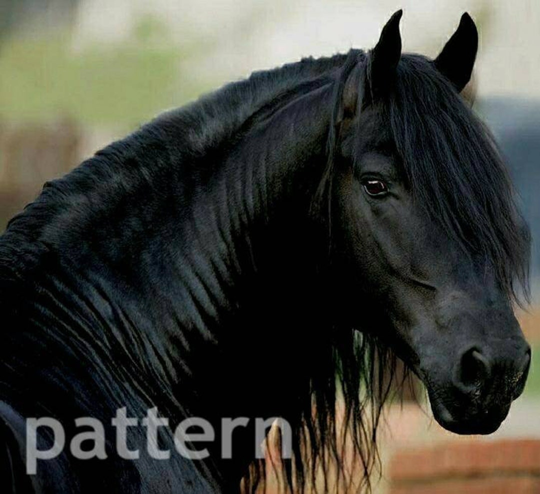 Black Horse Cross Stitch Pattern Cross Stitch Pattern - Etsy Black Horse Cross Stitch Pattern Cross Stitch Pattern - Etsy