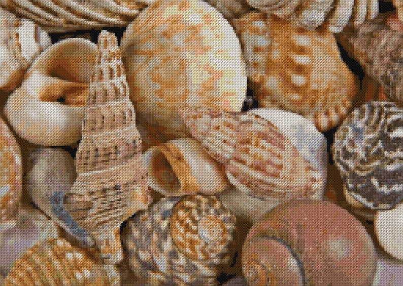 Seashells Cross Stitch Pattern, Pattern Keeper, Cross Stitch Pattern, Beach Cross Stitch