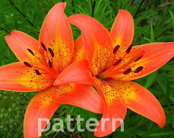 Tiger lily cross stitch pattern, cross stitch pattern, flower cross stitch pattern, lily cross stitch, pattern keeper