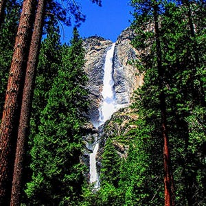 May include: A scenic view of a waterfall cascading down a rocky cliff, surrounded by lush green trees. The water plunges into a pool below, with a clear blue sky overhead. The image captures the natural beauty of a forest landscape.