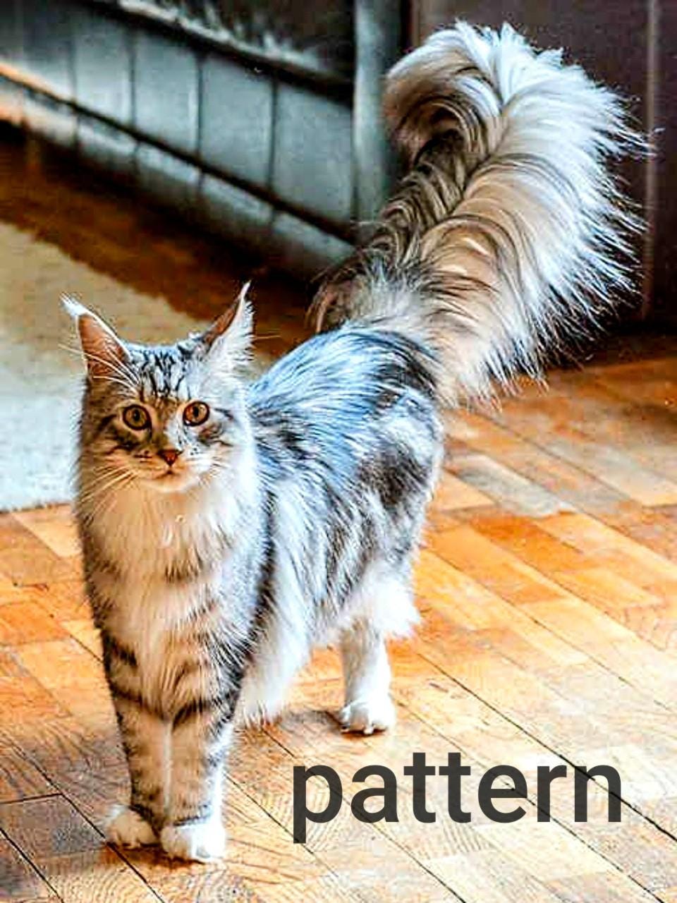 Tabby Pattern Circular Silver Tabby Pattern, Valentine's Sale!, Pattern Keeper, Counted Cross ...