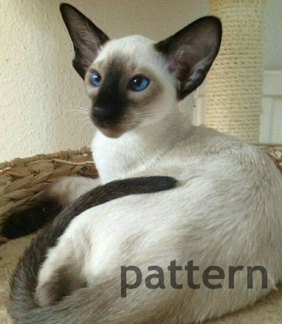 Seal Point Siamese Cross Stitch Pattern