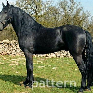 Black horse cross stitch pattern, pattern keeper, cross stitch pattern, counted cross stitch, horse pattern, animal pattern