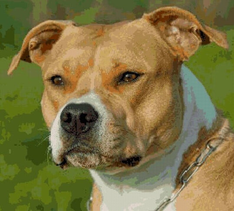 American Pit Bull Terrier Pattern Keeper Cross Stitch Etsy