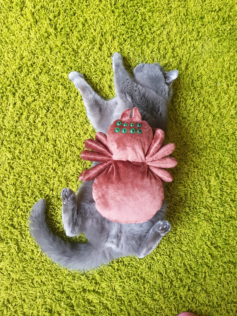 cute spider stuffed animal