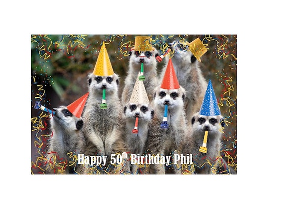 personalised meerkat teddy